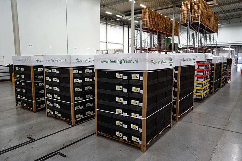 Feeling Fresh Warehouse